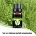 Rosemary Oil